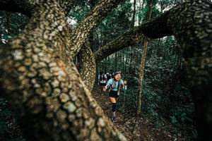 BIB: 
                            <button type="button" onclick="openModal(25393259)" class="btn btn-primary btn-sm float-right btn-popup" data-toggle="modal" data-target=".modal-high-quality">
                        <i class="fas fa-shopping-cart"></i> Add to Cart
                    </button>
                                            <button type="button" onclick="isThisMe(25393259, true)" class="btn btn-success btn-sm float-right btn-popup btn-isme hidden" data-toggle="tooltip" data-placement="bottom" title="นี่คือรูปของคุณใช่ไหม คลิกที่นี่เพื่อเอาเข้าอัลบั้ม">
                        <i class="fas fa-plus"></i> Add to album
                    </button>
                    <button type="button" onclick="isThisMe(25393259, false)" class="btn btn-warning btn-sm float-right btn-popup btn-isnotme hidden">
                        <i class="fas fa-ban"></i> Remove from album
                    </button>